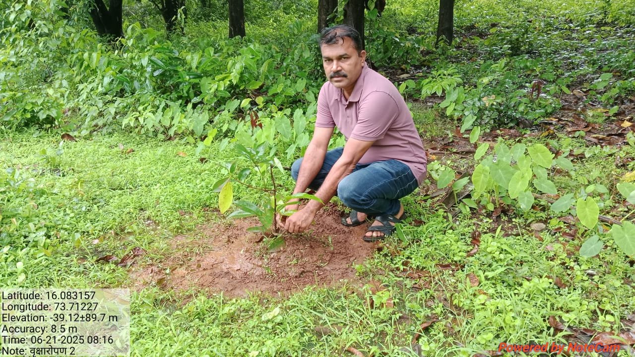 हुमरमळा ग्रामपंचायत